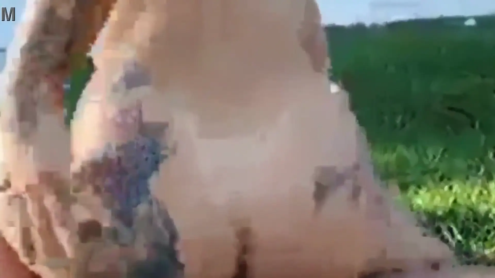 Preview for Fui passear com enteada na floresta