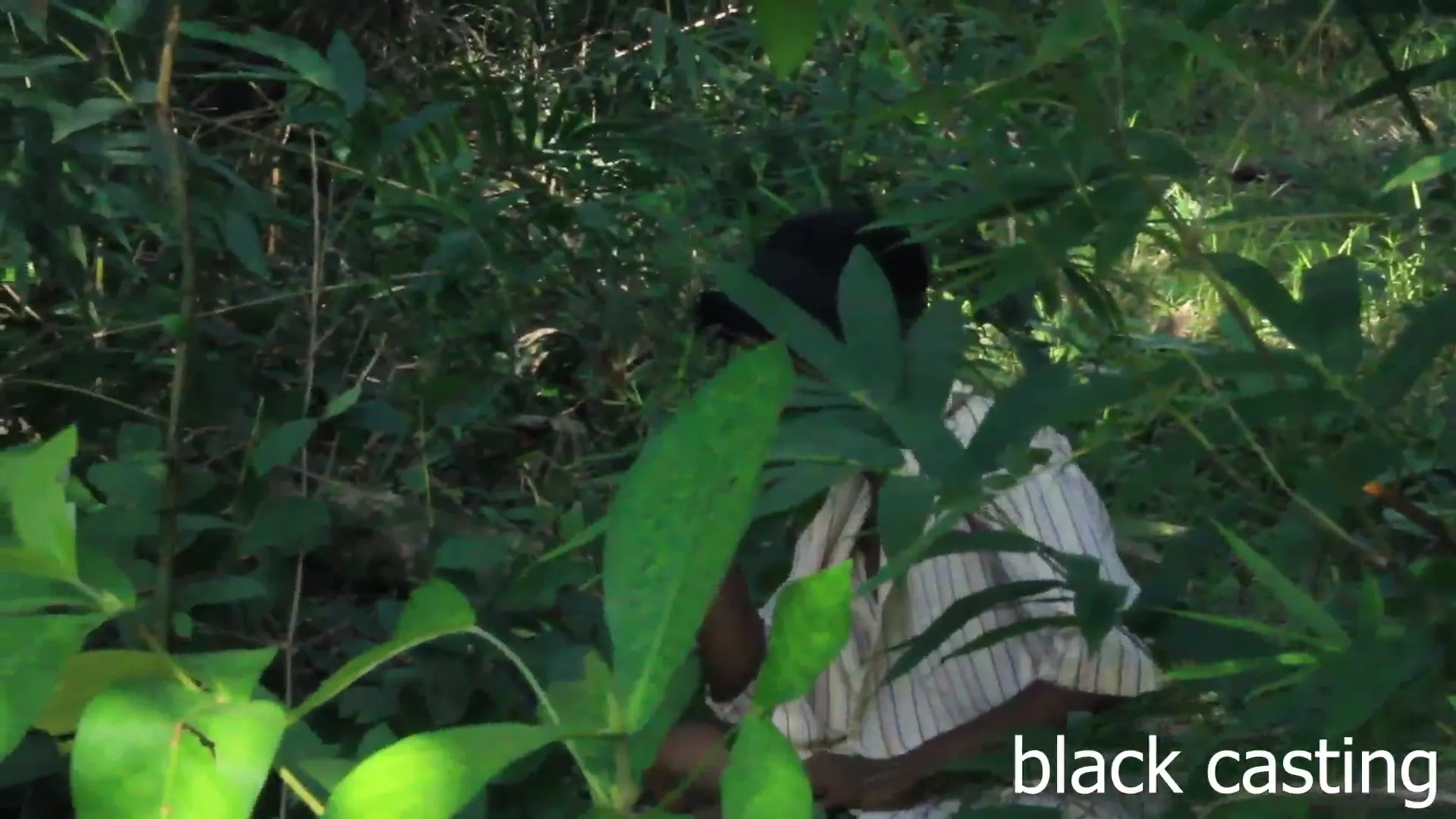 Moment at 02:17 in The girl in the bush in search of firewood
