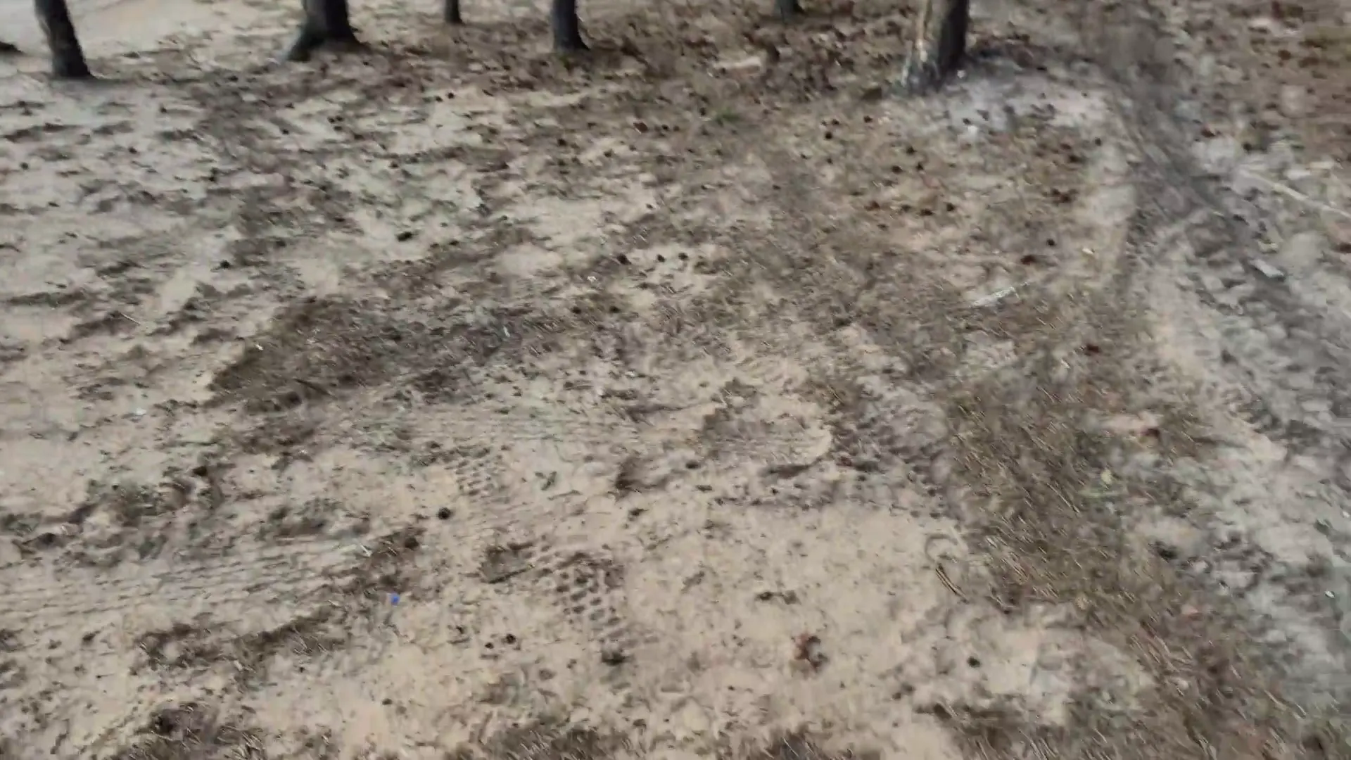 Moment at 09:29 in &quot_Nice Outdoor Place For Photoshoot&quot_: With My Big Cock in her Mouth. Cumshot. POV