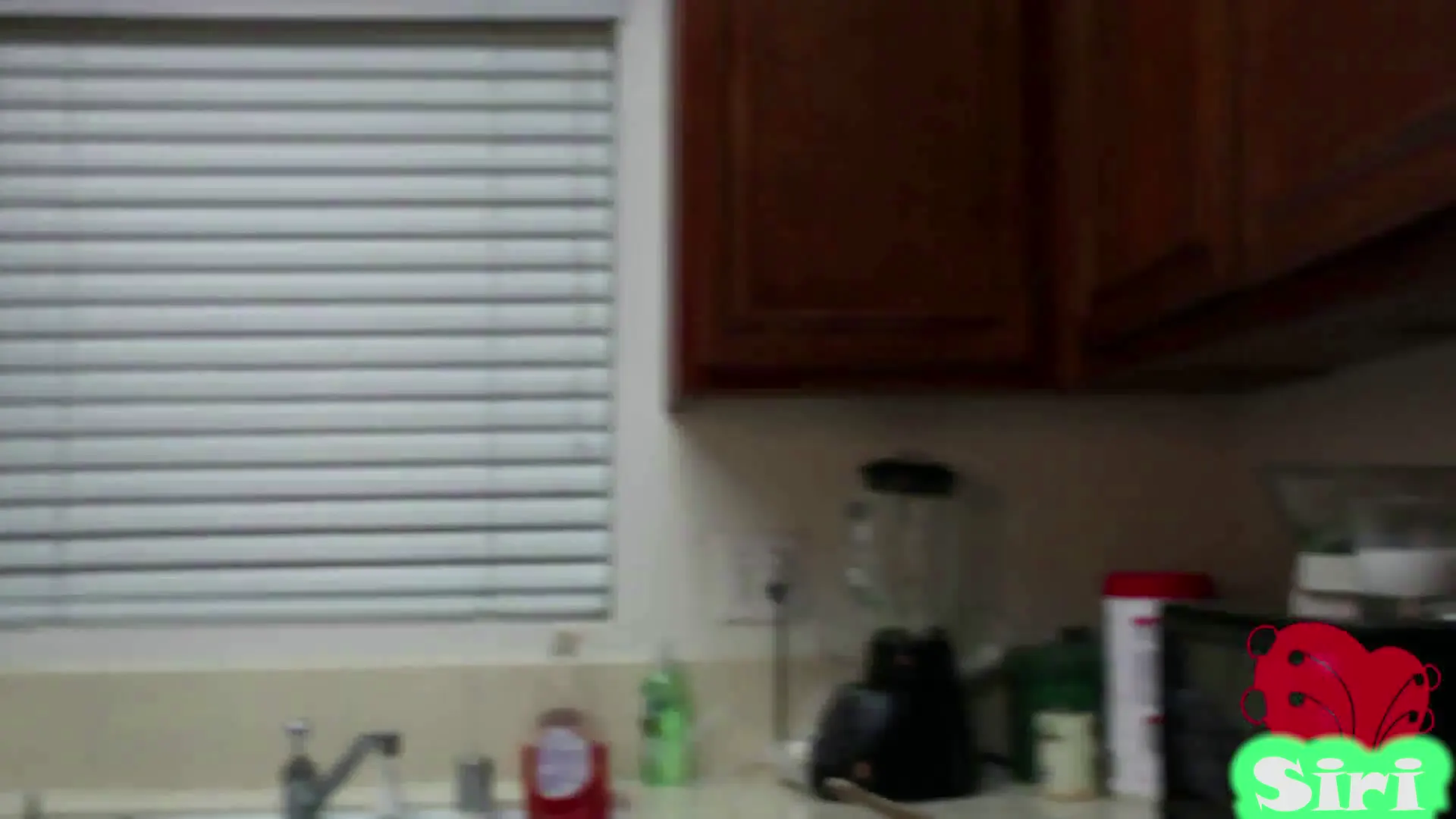 Moment at 03:38 in Baking Brownies with Siri!