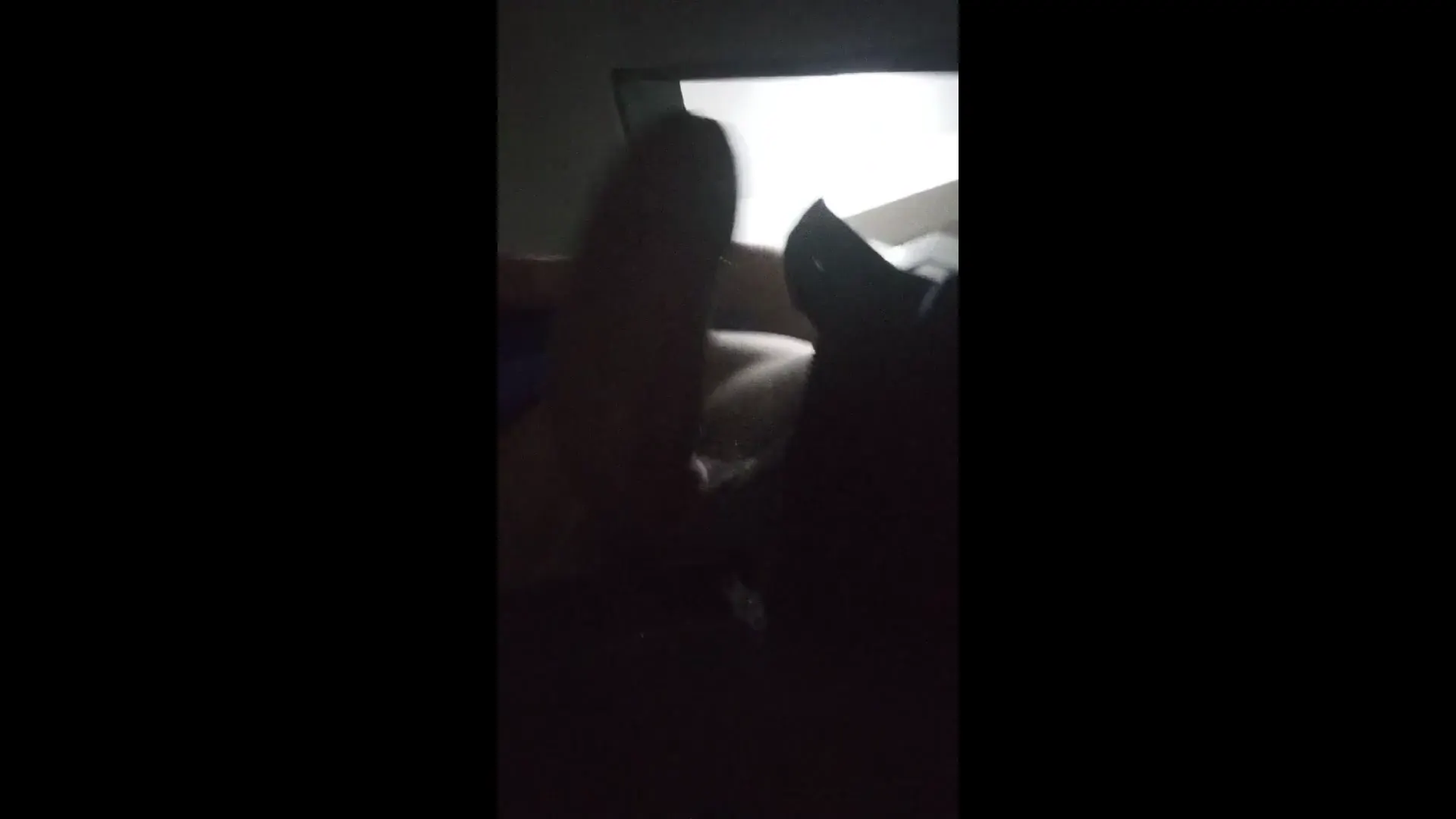 Moment at 02:21 in Compilado do AUGE da DUREZA da minha PIROCA!! (Testo tava Alta p/krl nesse Tempo kkkk)