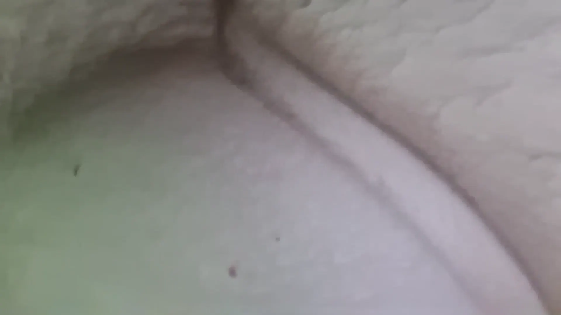 Moment at 15:43 in Bubba5918 -Jul 30, 2026