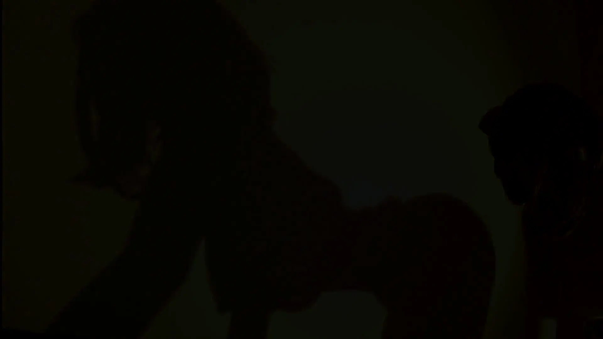 Moment at 02:16 in The Shadow - Lily Fucked Doggy on the Table