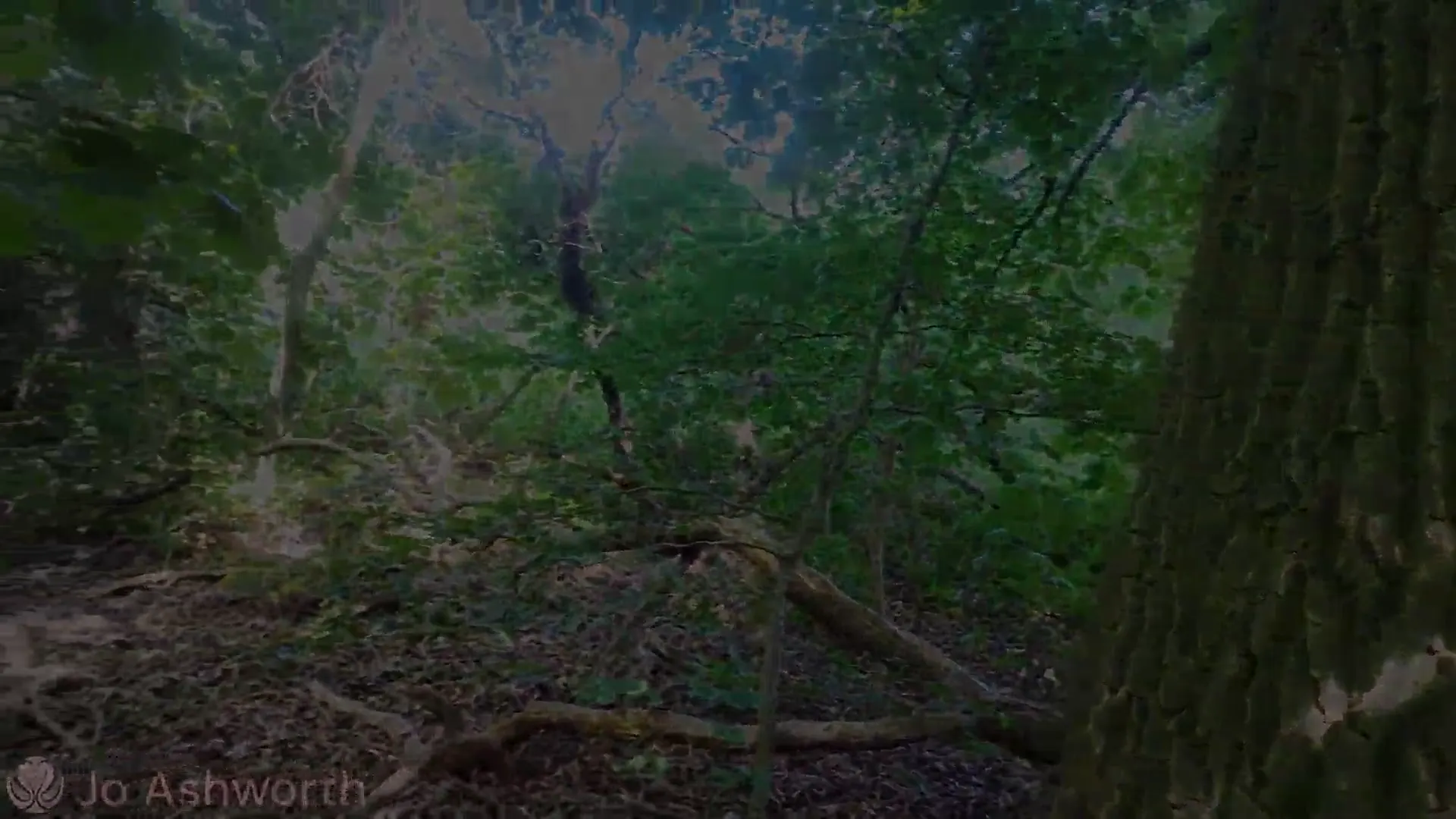 Moment at 13:54 in Just Went for a Walk in the Woods... Left with Cum Dripping Down My Ass.