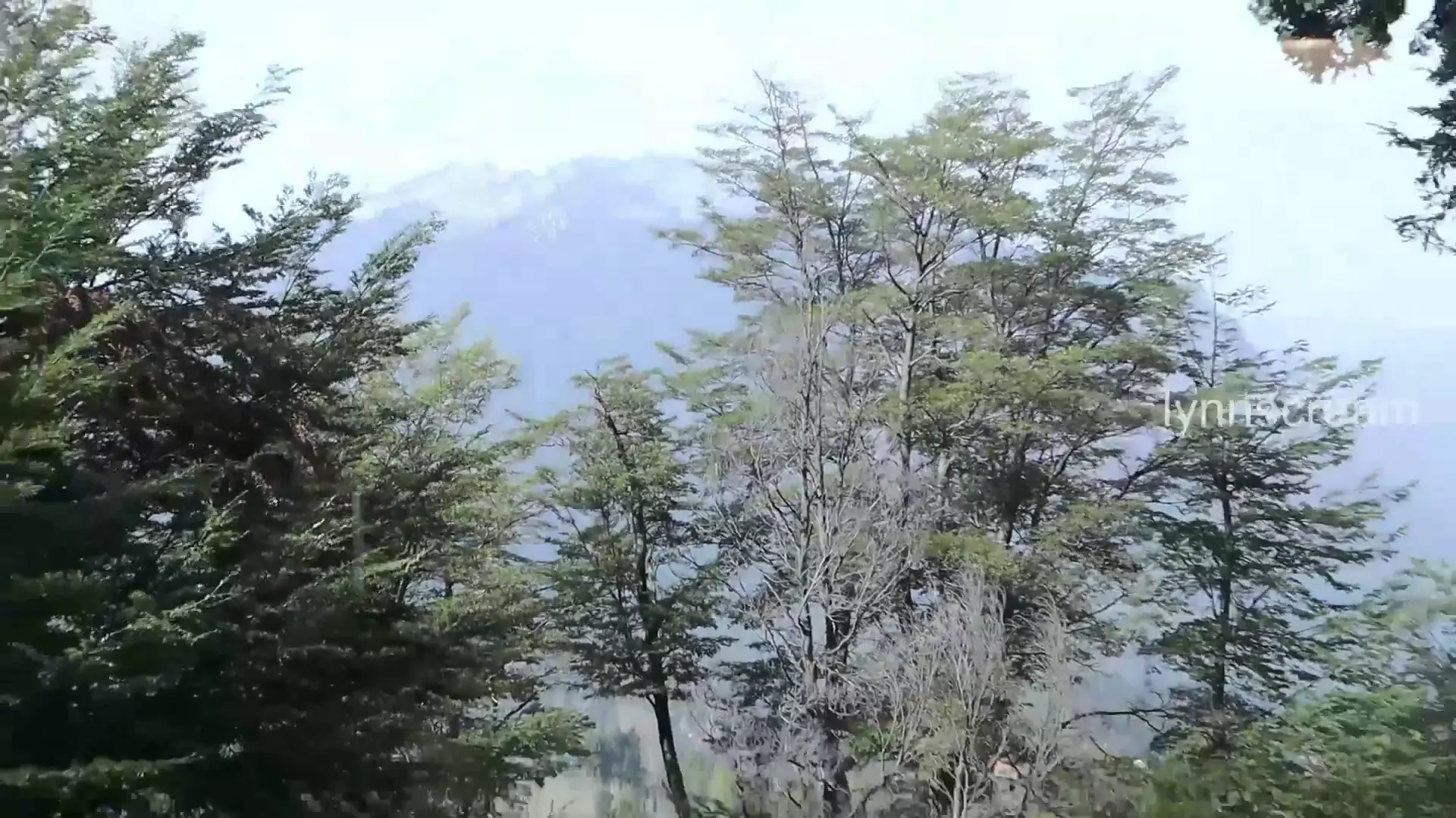 Moment at 09:40 in Porn VLOG: a week in Bariloche with latin pornstars