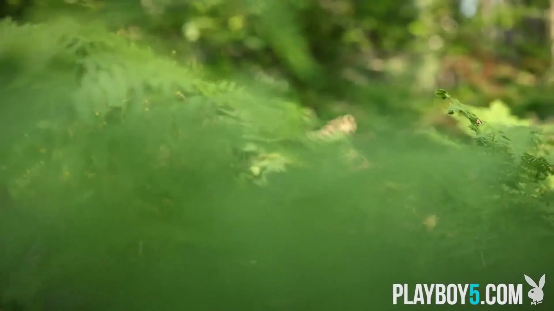 Keyframe at 00:09