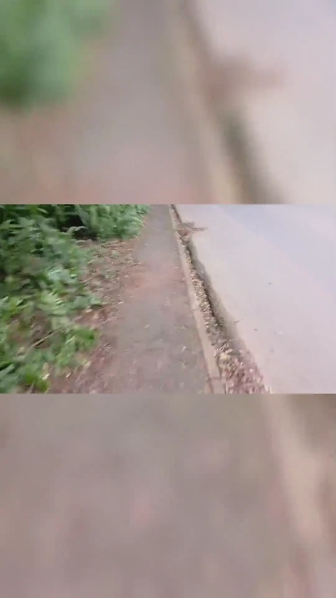 Moment at 00:00 in My girl destroyed in the bush part 2