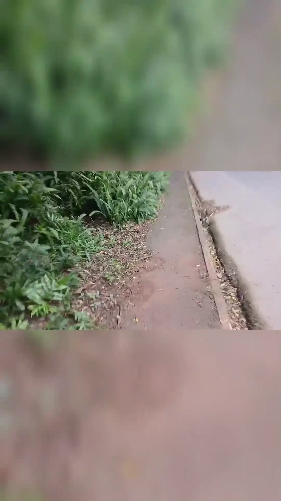 Moment at 00:01 in My girl destroyed in the bush part 2
