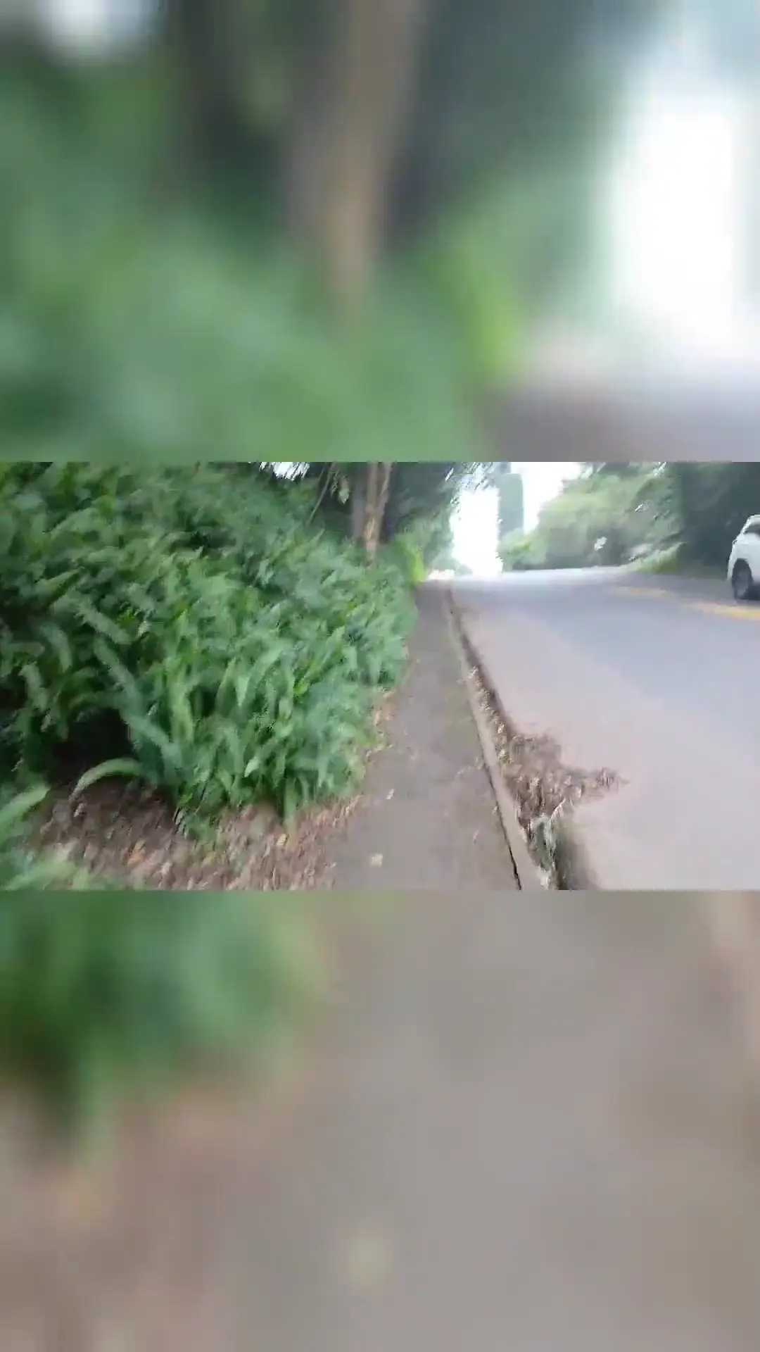 Keyframe at 00:02