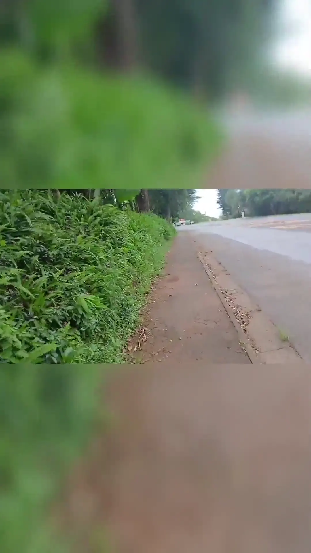 Moment at 00:43 in My girl destroyed in the bush part 2