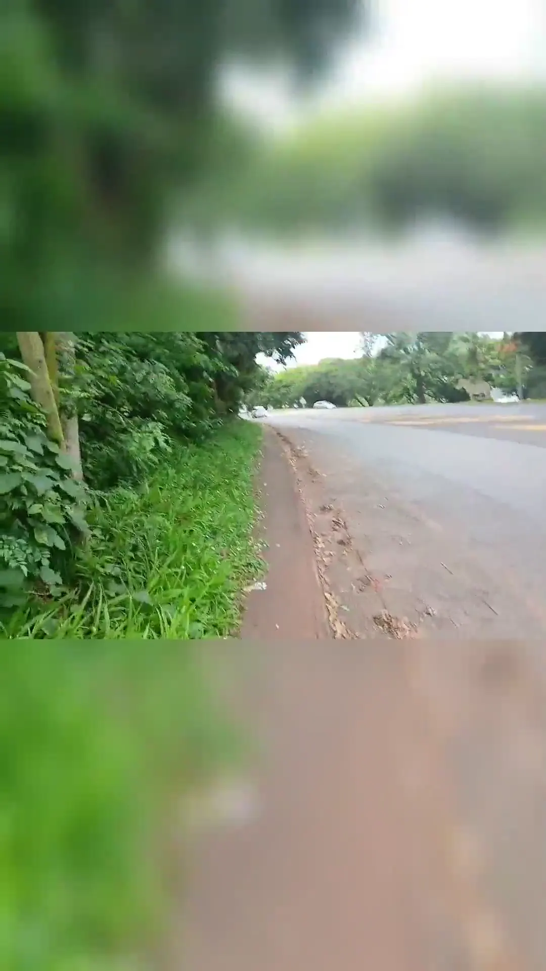 Moment at 02:07 in My girl destroyed in the bush part 2