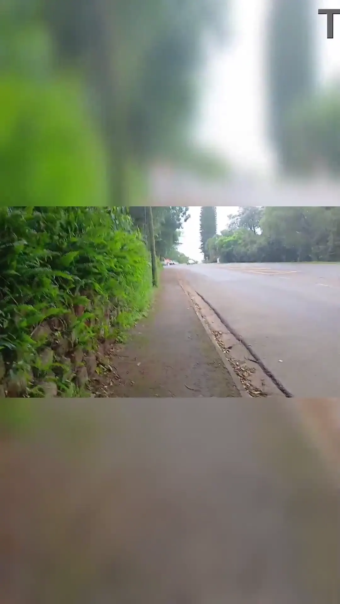Moment at 04:22 in My girl destroyed in the bush part 2