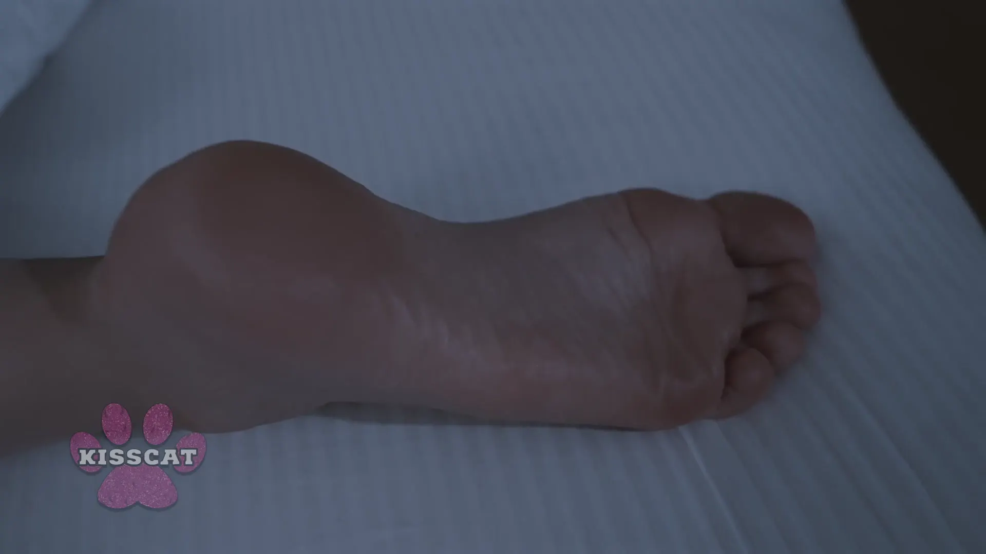 Keyframe at 00:22